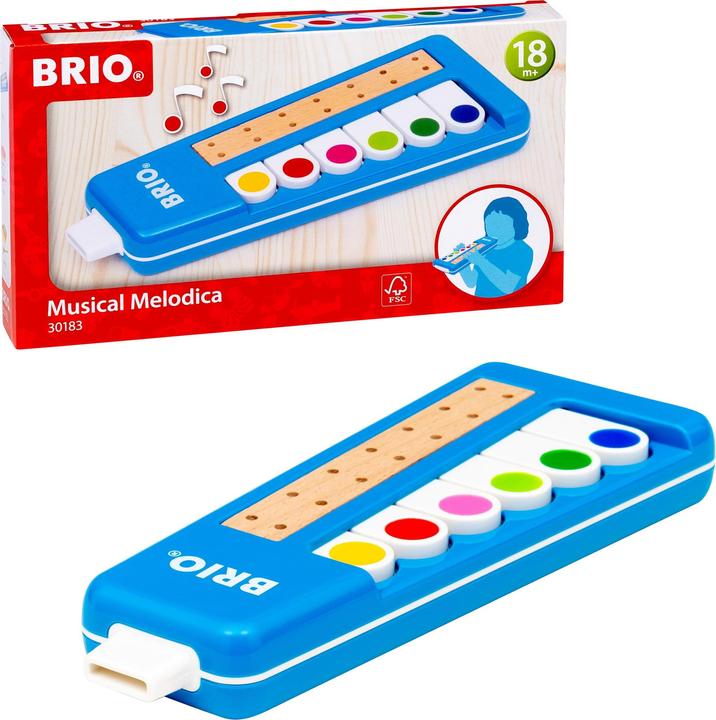 Productafbeelding Brio Kinderen Melodica (Engels)