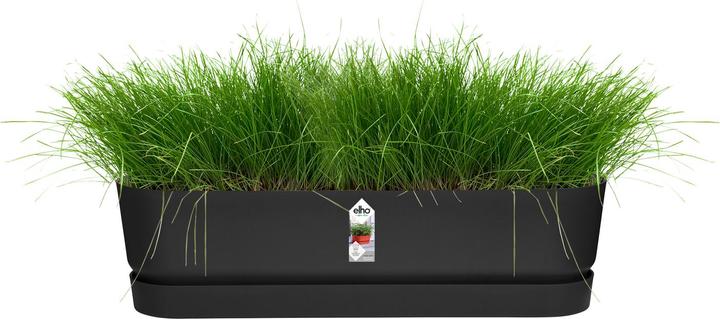 Actual product image Elho Greenville (19.50 cm)