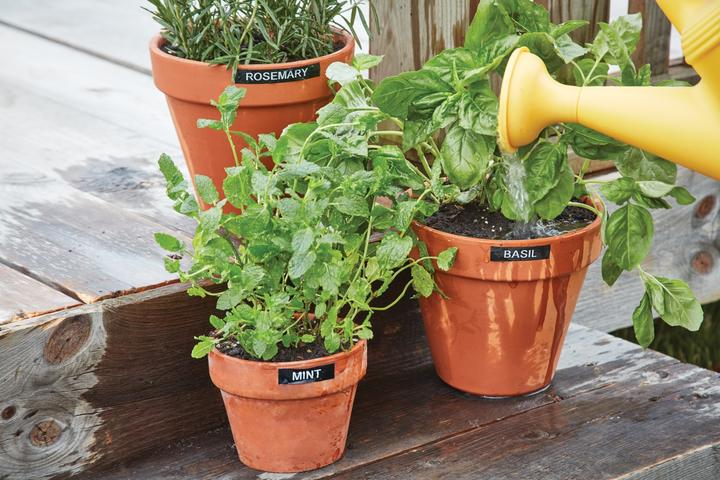 Produktbild Dymo LabelManager 280 QWERTY EU Plug (180 dpi)