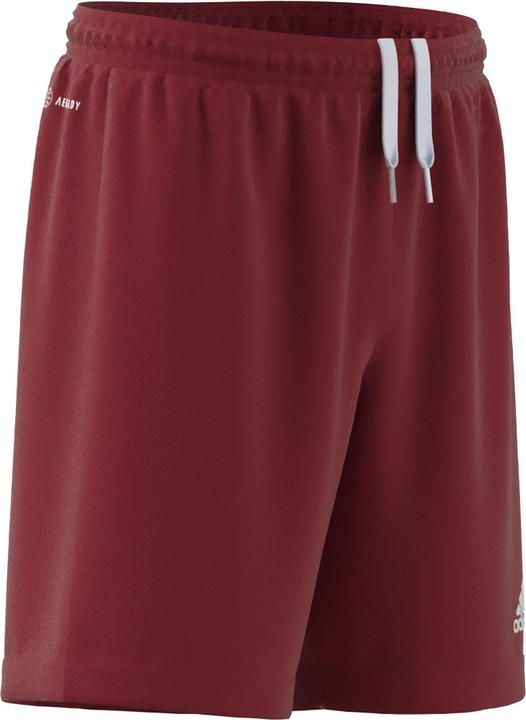 Actual product image adidas Entrada 22 Shorts (152)