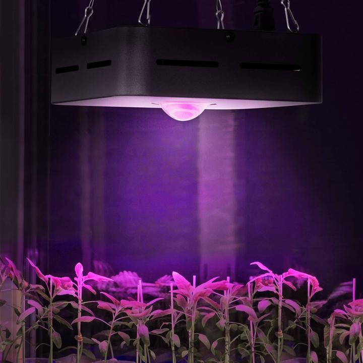Actual product image Hillvert LED Grow Light - Full spectrum - 50 W - 1 LED - 4200 lumens (LED, 240 V)