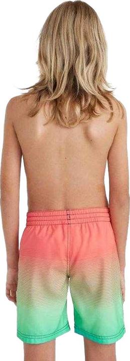 Produktbild O'Neill Jack Cali Gradient 14" Swim Shorts (152)