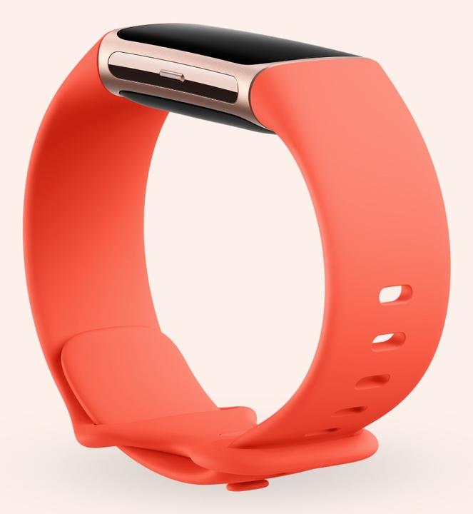 Actual product image Fitbit Charge 6