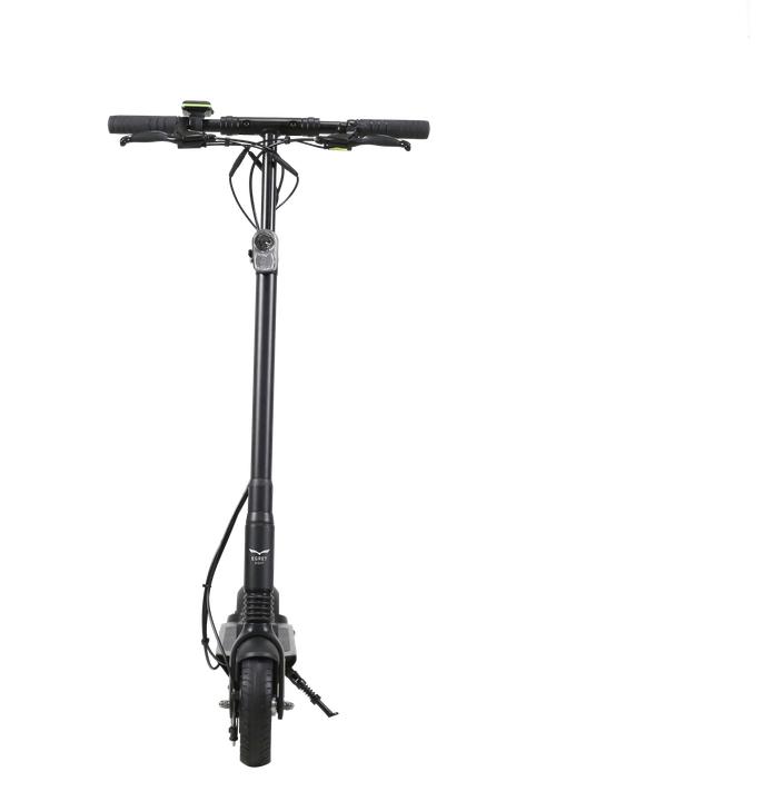 Actual product image Egret Eight V2 (28 km/h, 30 km, 350 W)