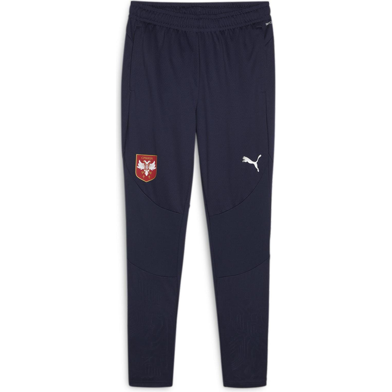 Puma, Herren, Sporthose, FSS Training Pants (L), Blau, L