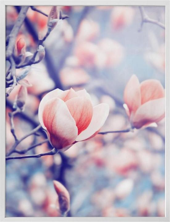 Immagine prodotto Trenddeko Germoglio di magnolia (30 x 40 cm)