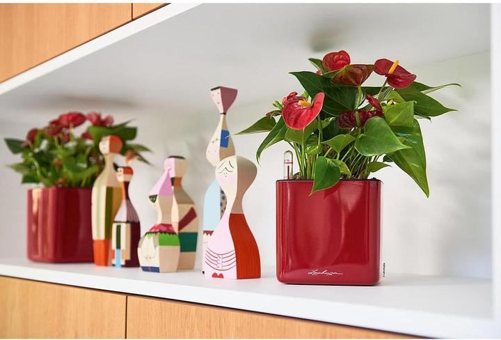 Produktbild Lechuza Cube Glossy 14 (14 x 14 x 14 cm)