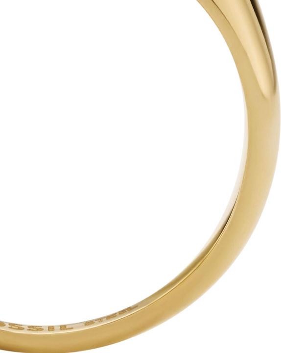 Actual product image Fossil Sutton Ring (60)