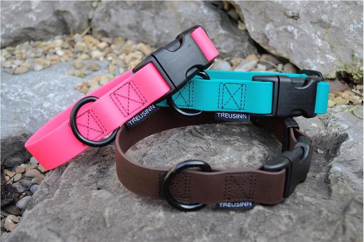 Actual product image Treusinn. Dog collar Biothane STAY (Dog, Dog sport)