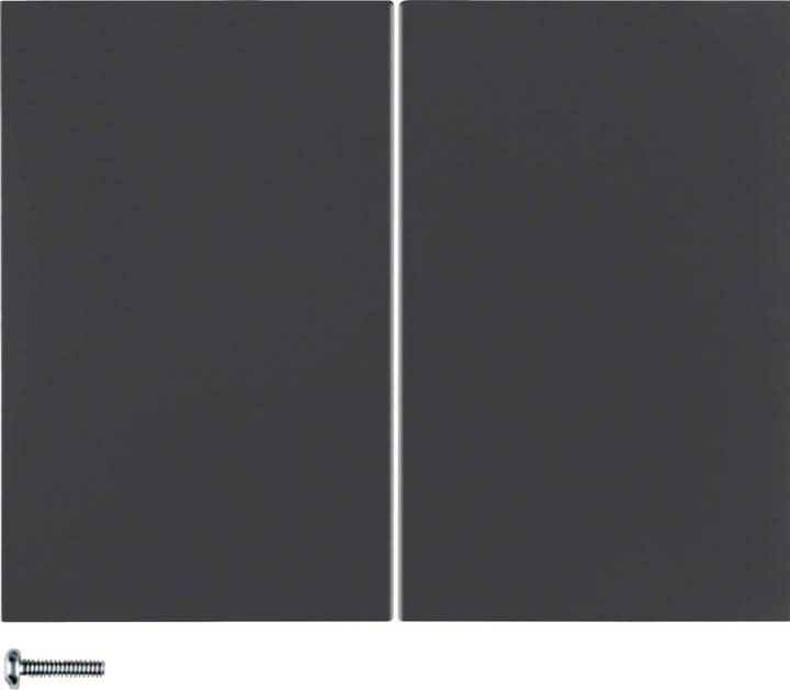 Actual product image Berker 85648175