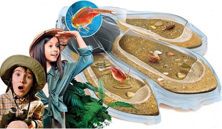 Productafbeelding Clementoni Triops Maxi de Luxe