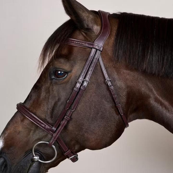 Image du produit Dy'on New English