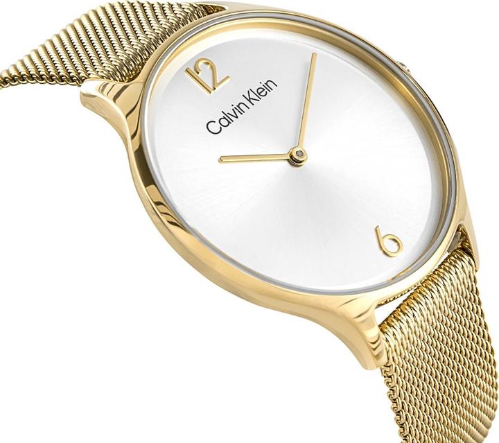 Immagine prodotto Calvin Klein Timeless Mesh Damenuhr 25200003 + BOX