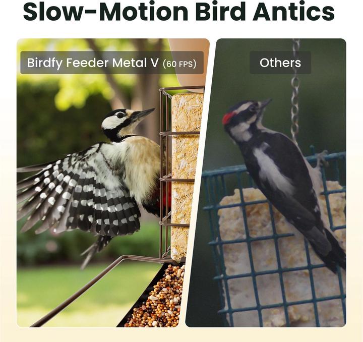 Produktbild Birdfy Futterspender mit Kamera