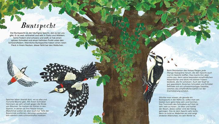 Immagine prodotto Kosmos Flieg mit uns!