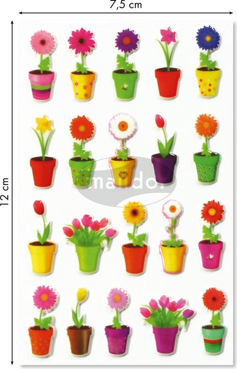 Produktbild My Mandarine Cooky