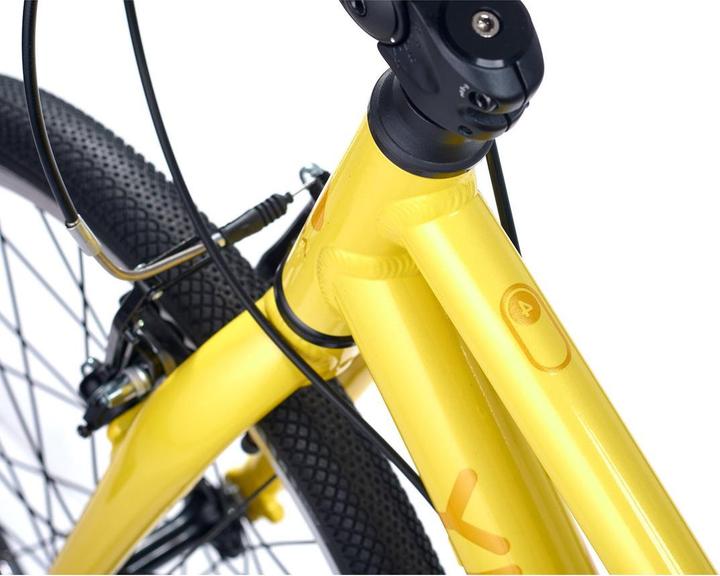 Actual product image Academy Grade 4 Belt (20")