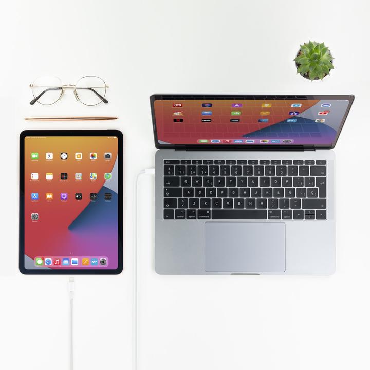 Image du produit Nanocable Câble Lightning Vers USB (C) 50cm (0.50 m, 50 W)