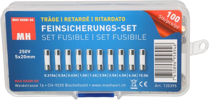 Max Hauri Fine-wire fuse set (Microfusible, 10 A, Paresseux)