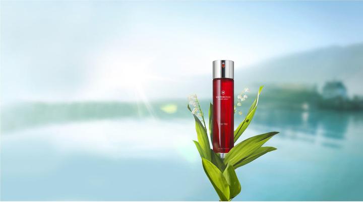 Image du produit Victorinox Swiss Army - For Her Eau de Toilette (Eau de toilette, 100 ml)