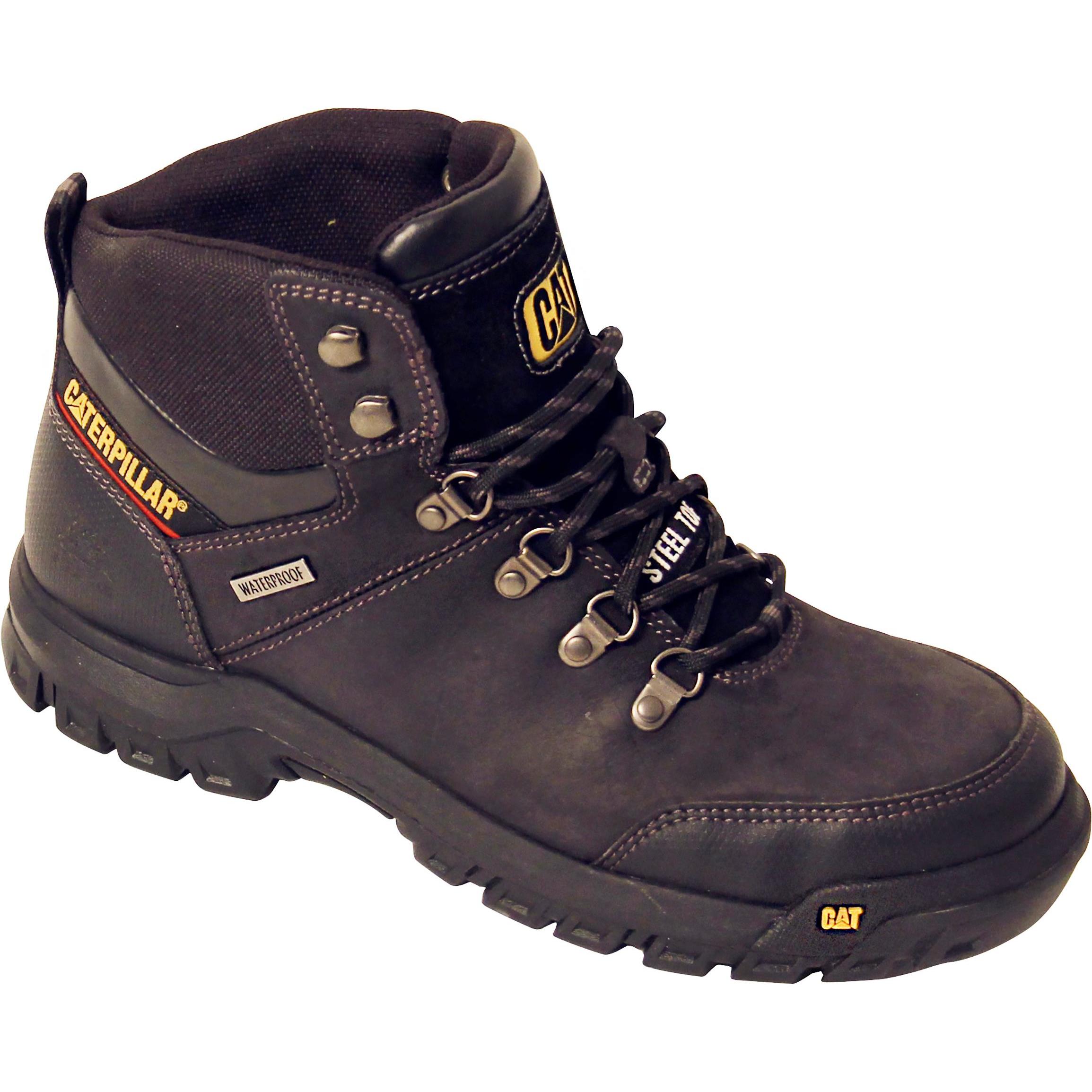 Cat Framework (S3, 40) (P722603)