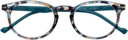 Zippo 31Z-B18-GRE Lunettes de lecture (+2)