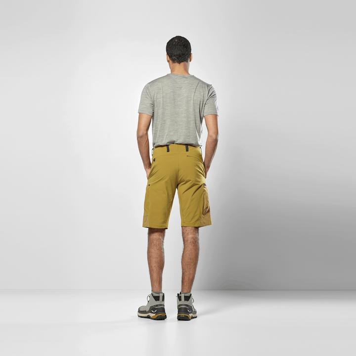 Actual product image Salewa Puez Hemp Durastretch Shorts (XL)