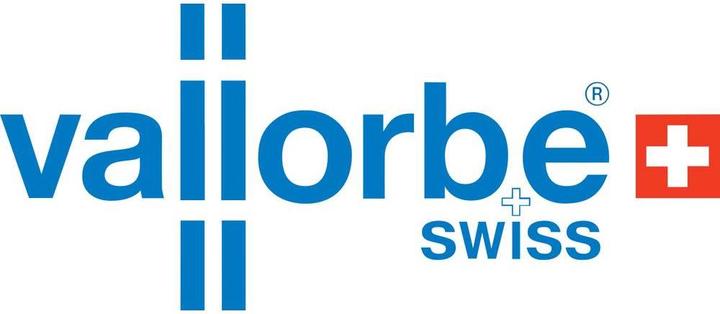 Immagine prodotto Vallorbe Set di lime ad ago 6 pezzi LAM020-1 (Taglio 2, 140 mm)