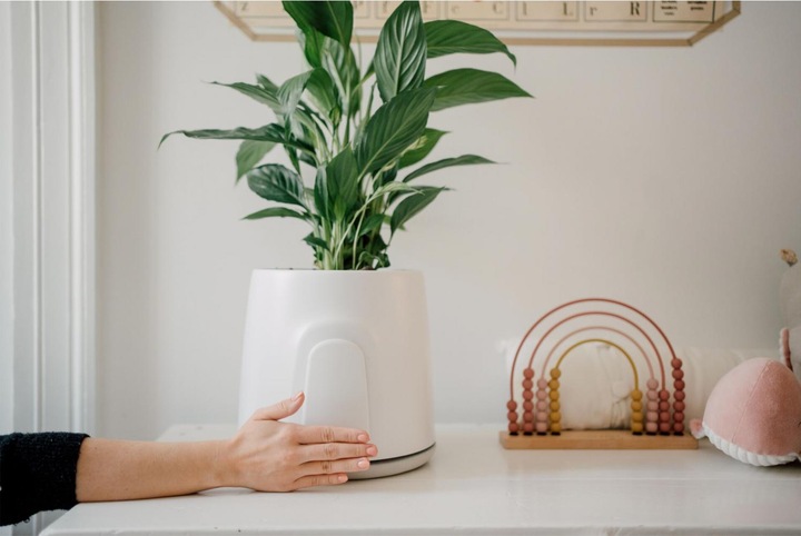 Actual product image Vitesy Natede Smart (20 m²)