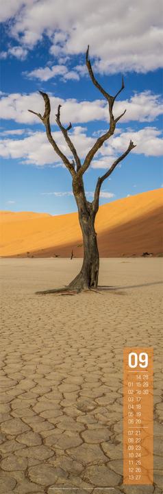 Image du produit Afrika Vertikal Kalender 2026 (33 x 100 cm, Couverture rigide, Espagnol, Français, Anglais, Allemand)