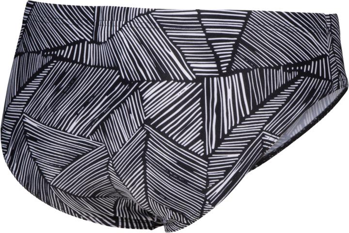 Actual product image Arena M Overview Swim Briefs (8)