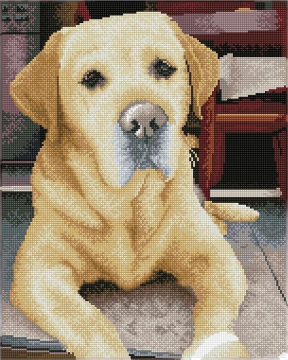Image du produit Diamond Dotz Squares Original Diamond Painting Set Labrador "KING" 40 x 50 cm, 28.200 carrés