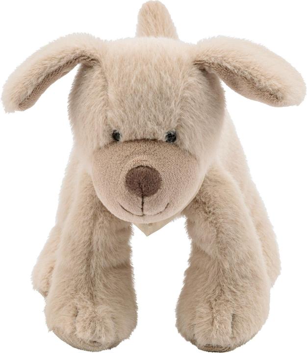 Actual product image Sterntaler 3002426 Cuddly toy, multicoloured (21 cm)