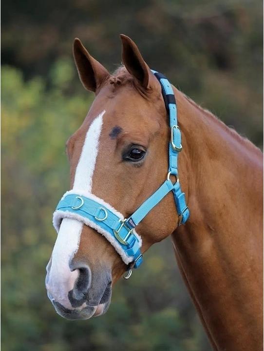 Produktbild Shires Mit Fleece gefütterter Longiergurt Pferde