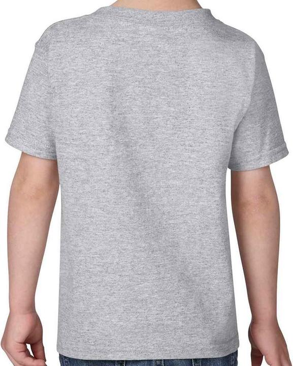 Actual product image Gildan Childrens/Kids Heavyweight T-Shirt (104)