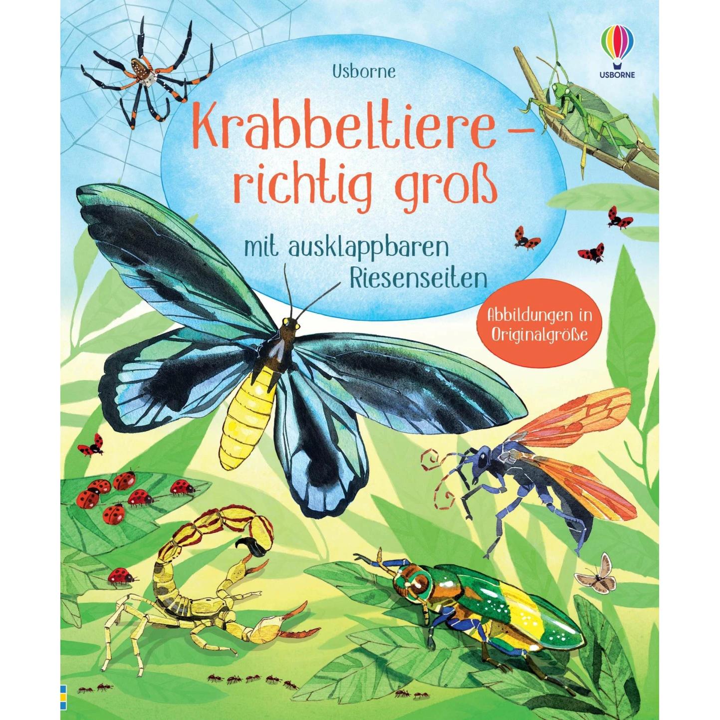 Krabbeltiere - richtig gross, Kinderbücher