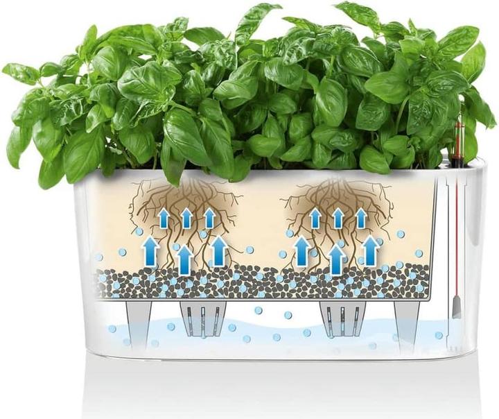 Produktbild Lechuza Delta (30 x 11 x 13 cm)