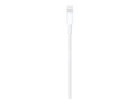 Image du produit Apple USB A – Lightning (1 m, USB 2.0)