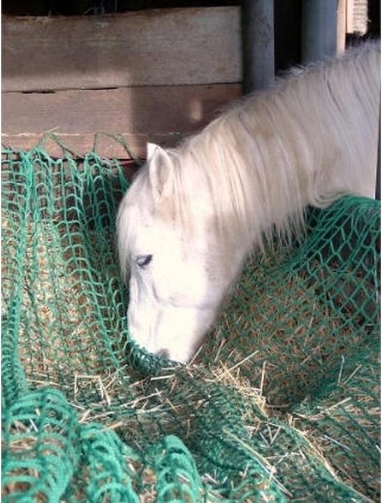 Actual product image Kerbl Fodder spar net