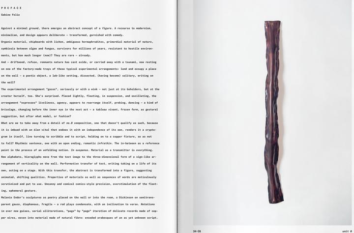 Produktbild Melanie Ender (Deutsch, Englisch, Cornelia Lein, Marie Gruber, Mariel Vela García, Martin Faiss, Melanie Ender, Sabine Folie, 2024)