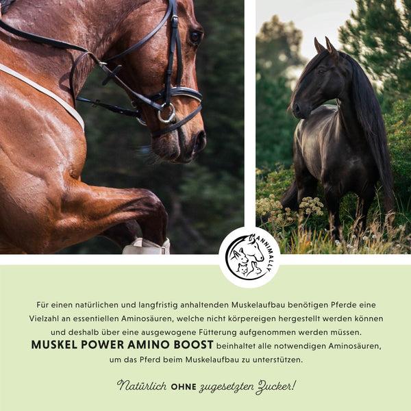 Produktbild Annimally Muskelpower Pulver - Nachfüllpackung (1 x, 2000 g)