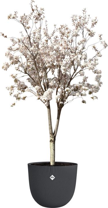 Produktbild Elho Pflanzentopf Sereh Rund 60 cm Schwarz (60 x 50 cm)