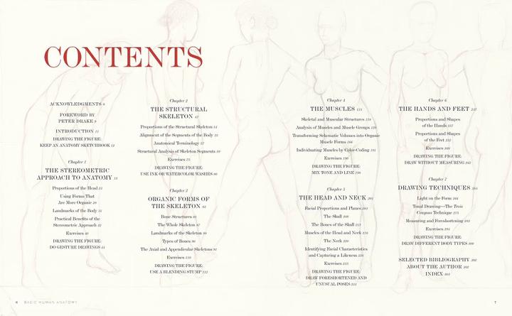 Produktbild Basic Human Anatomy (Englisch, Roberto Osti, 2022)