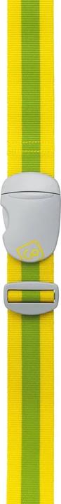 yellow/green