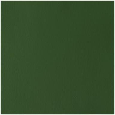 Winsor & Newton Designers Gouache 14ml Oxid Of Chromium 459 (14 ml) (0605459)