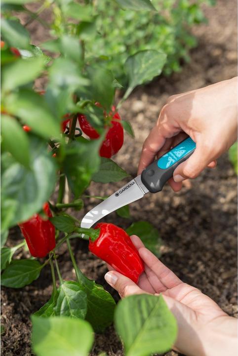 Actual product image Gardena VeggieCut