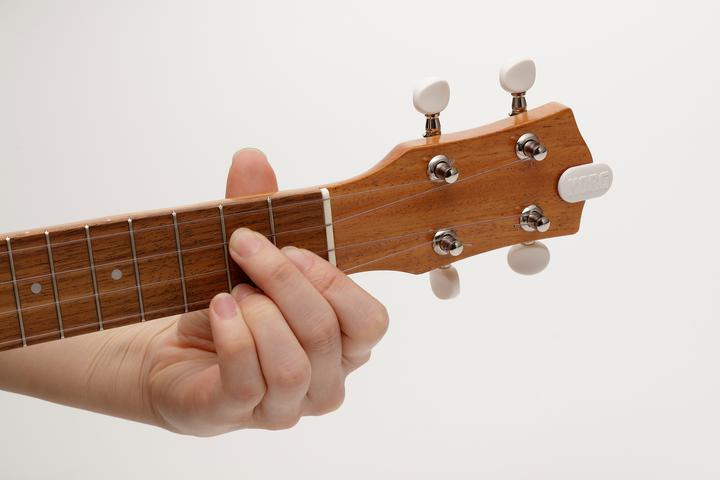 Immagine prodotto Korg MiniPitch