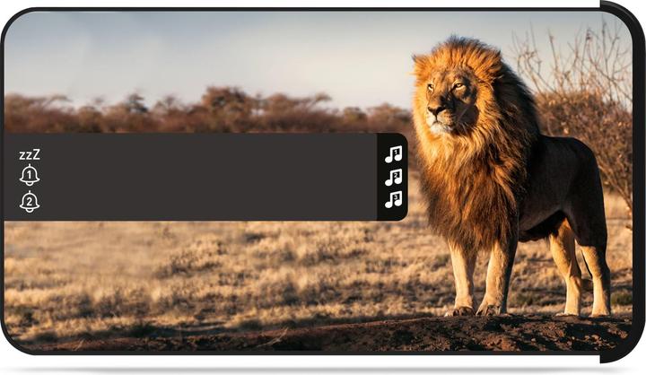 Actual product image Bigben Safari