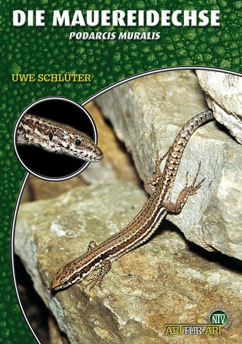 Produktbild Mauereidechse (Deutsch, Uwe Schluter, 2010)
