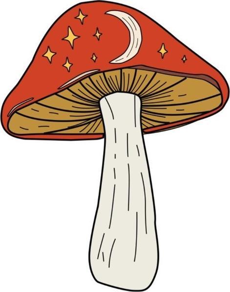 Fungo ruggine
